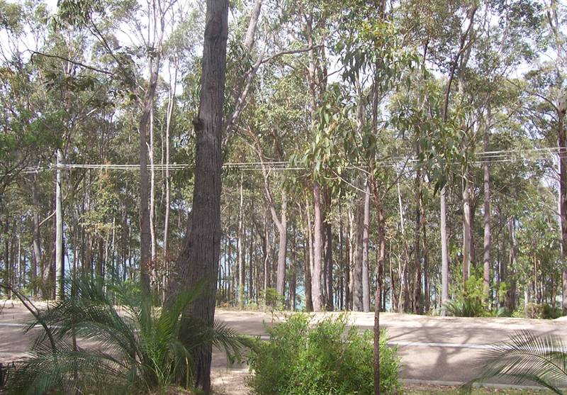 Northcove Gardens Picture 1