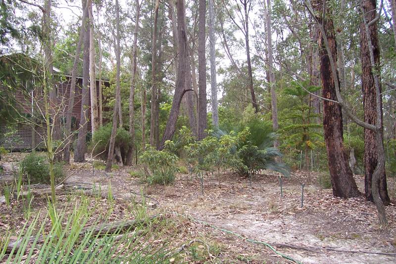 Northcove Gardens Picture 3