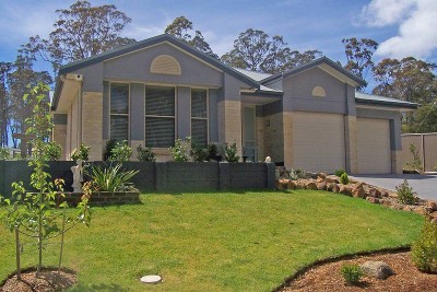 The Retiree's Dream Picture