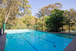 Renovate or Detonate! Picture