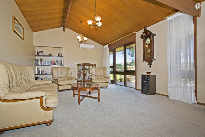 A Real Hidden Treasure Picture 3