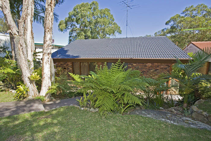 A Real Hidden Treasure Picture 1