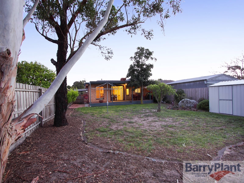 Immaculate Home - Great Location Picture 3