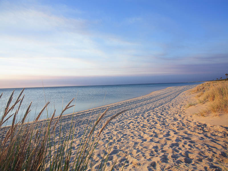 Hidden Oasis By The Bay Picture 3