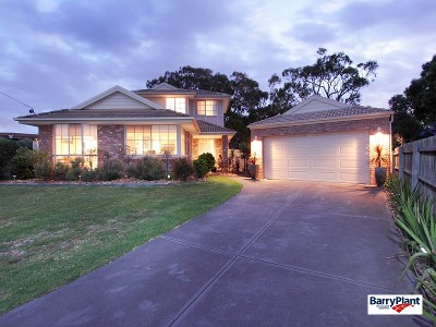 Yes, It Has EVERYTHING! Picture Yes, It Has EVERYTHING! Picture