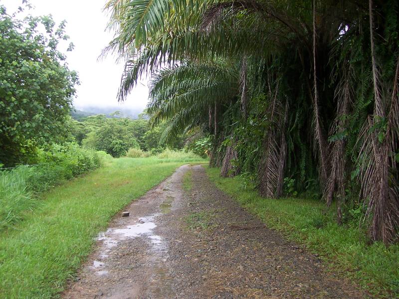 60 Acres & Your Own Swimming Hole! Picture 1