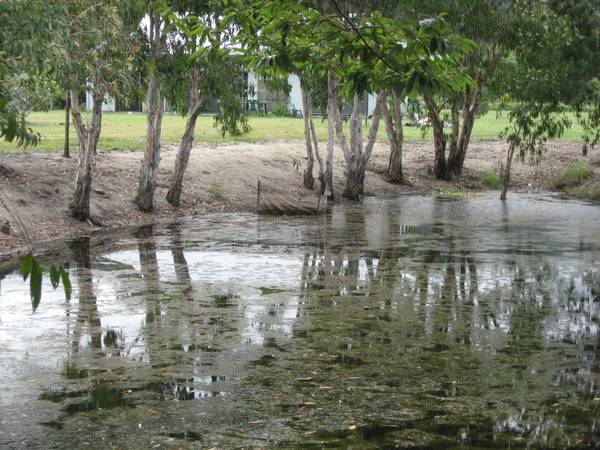 Potential Plus Picture 3