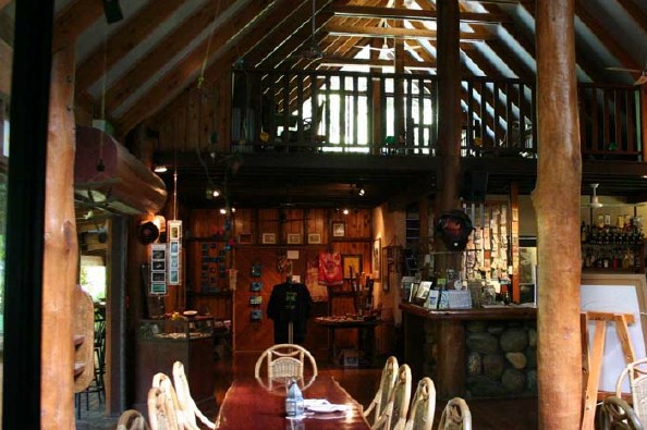 Rainforest Change Picture 1