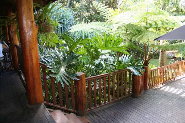 Rainforest Change Picture 2