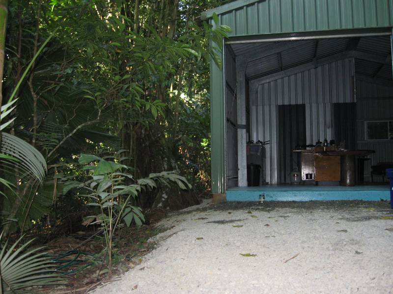 World Heritage Rainforest Picture 1