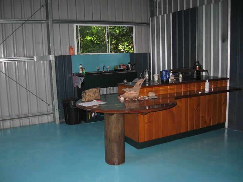 World Heritage Rainforest Picture 2