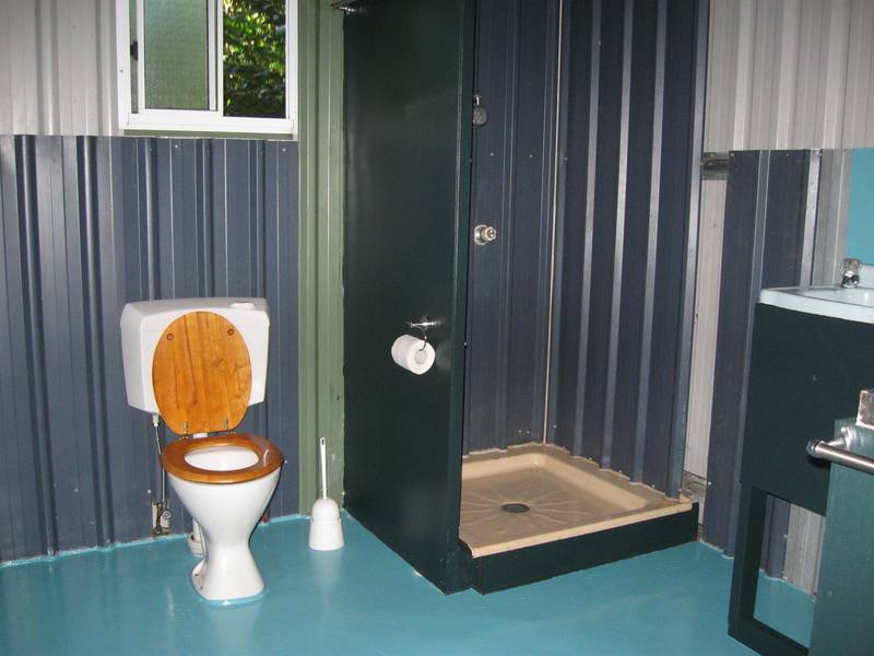 World Heritage Rainforest Picture 3