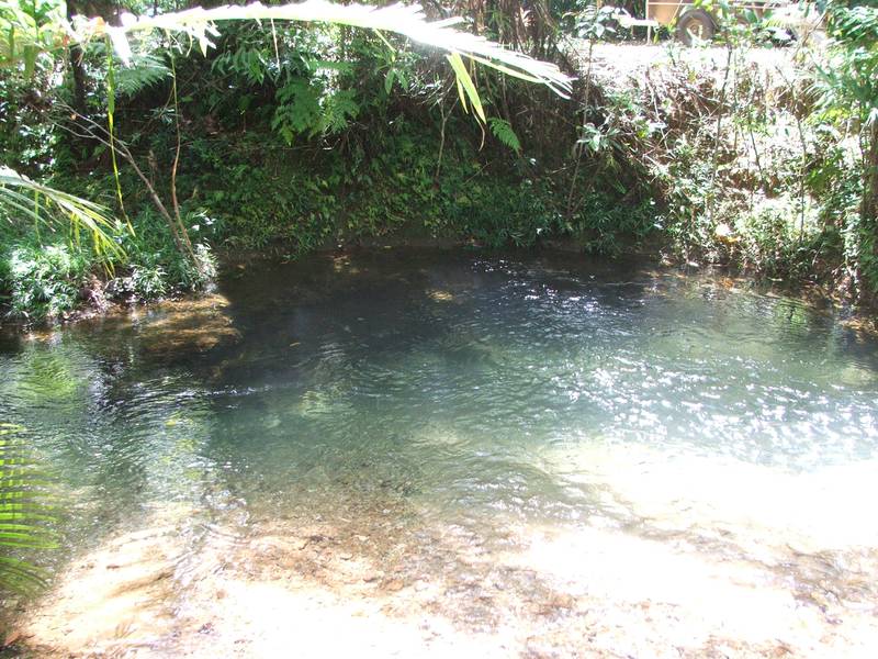 Timber home with 2 permanent creeks Picture 2