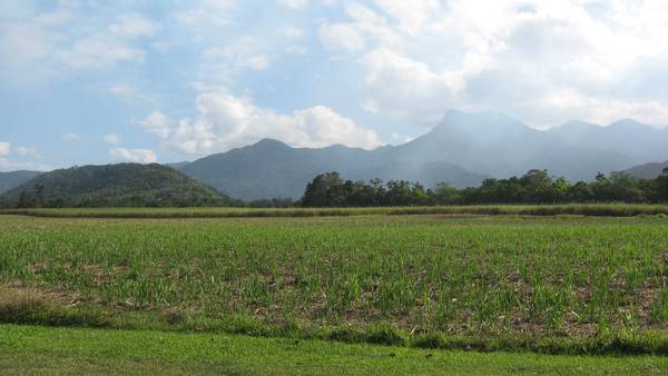 Right in the heart of Mossman! Picture 2