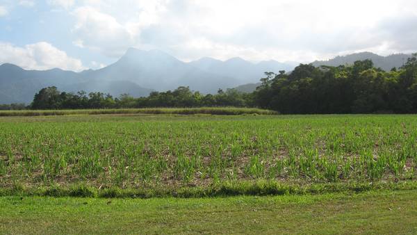 Right in the heart of Mossman! Picture 1