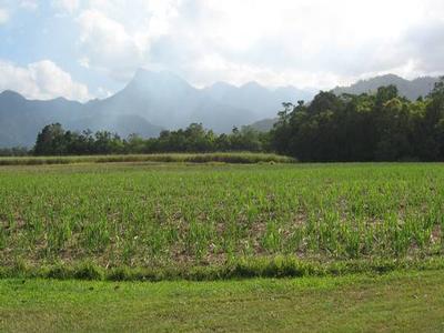 Right in the heart of Mossman! Picture