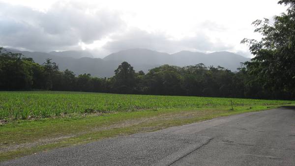 Right in the heart of Mossman! Picture 3