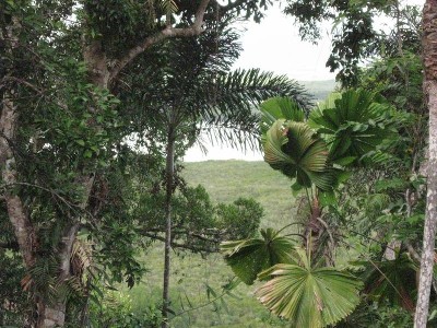 Cape Kimberley with Ocean Views Picture