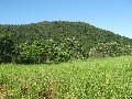 Cape Tribulation Land Picture