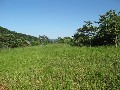 Cape Tribulation Land Picture