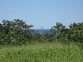 Cape Tribulation Land Picture