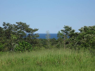 Cape Tribulation Land Picture