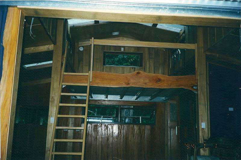 American Barn Cape Tribulation Picture 3