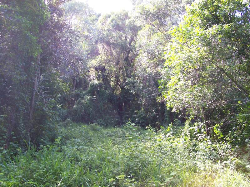 2.5 acres with dam and permits Picture 2