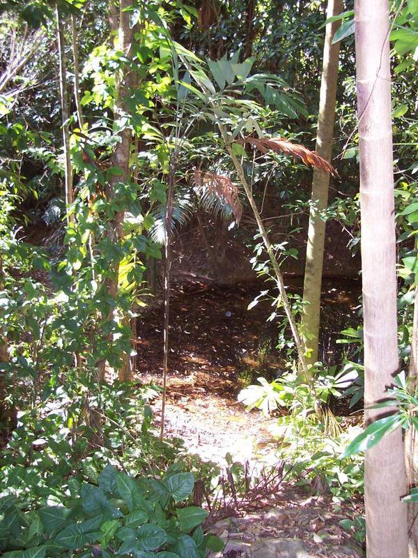 A beautiful way of life awaits you! Picture 3