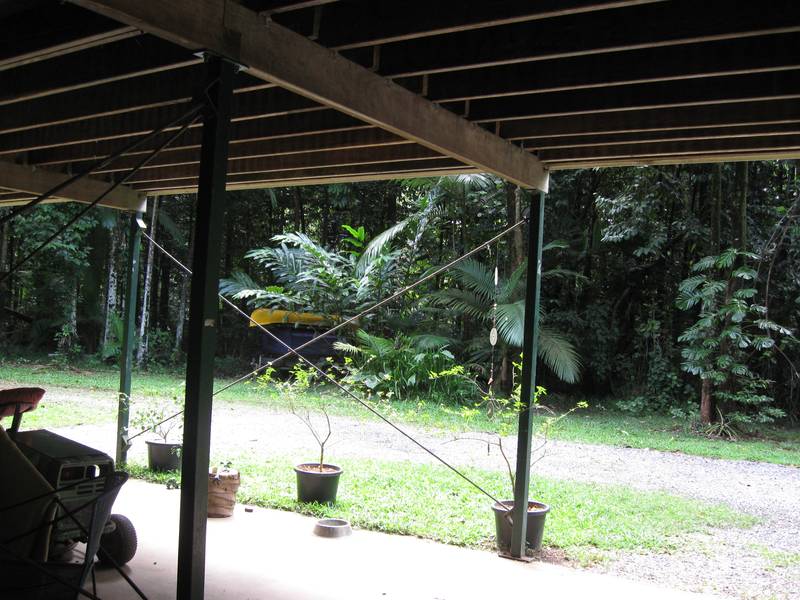 A Rare Gem Picture 3