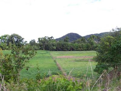 Absolute river frontage Picture