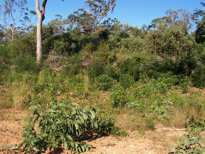 Rural Acreage Julatten! Picture