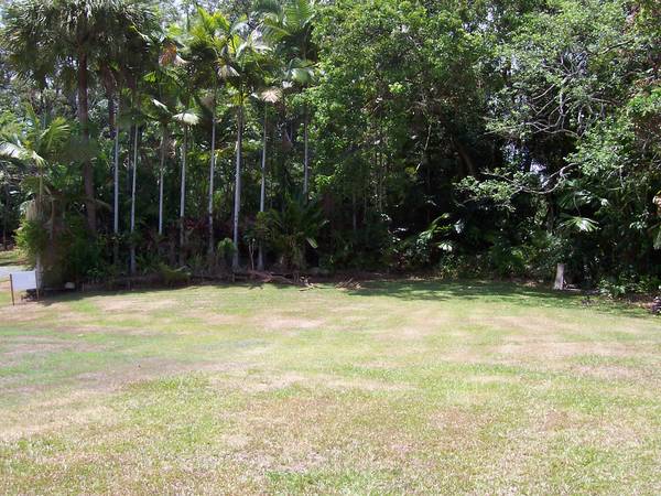 Simply Stunning Picture 2