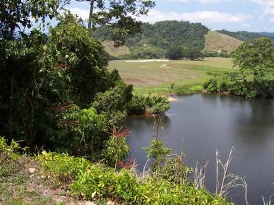 Simply Stunning Picture