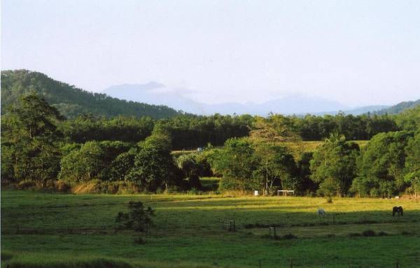 Your Own Piece of Paradise Picture 1