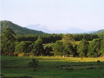 Your Own Piece of Paradise Picture