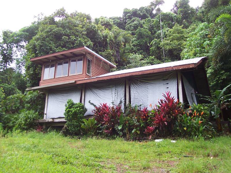 No Neighbours Picture 1