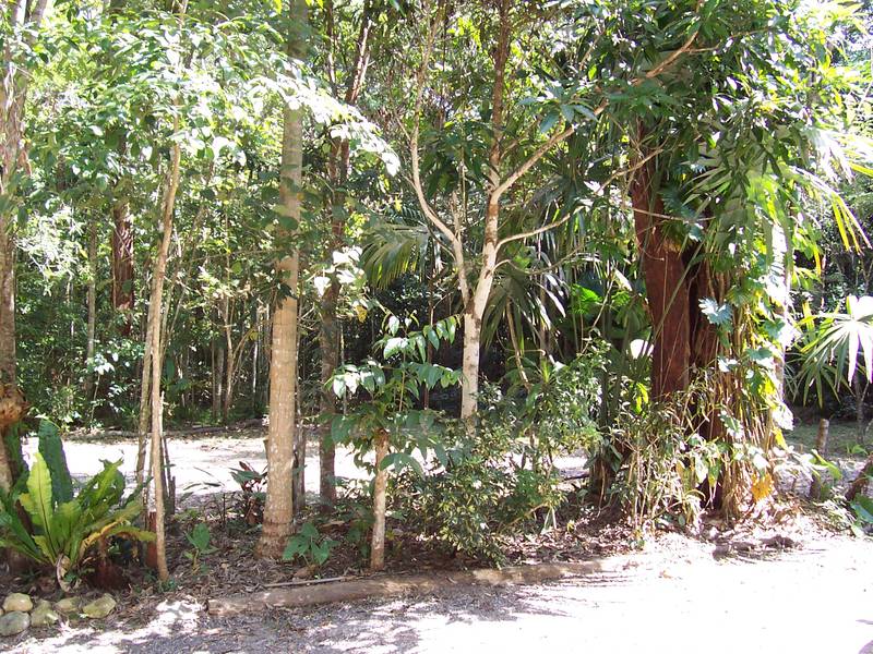 Ideal Setting Picture 2