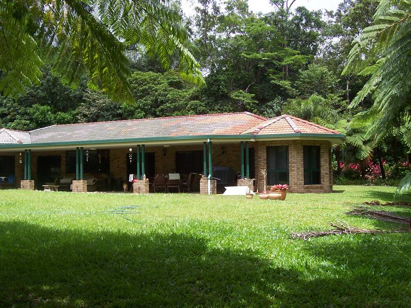 Solid Gold! Picture 1