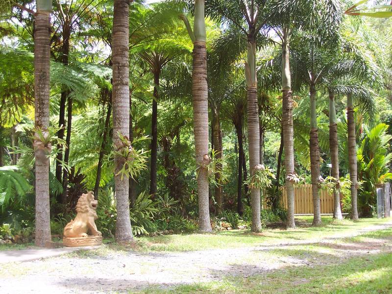 Solid Gold! Picture 2