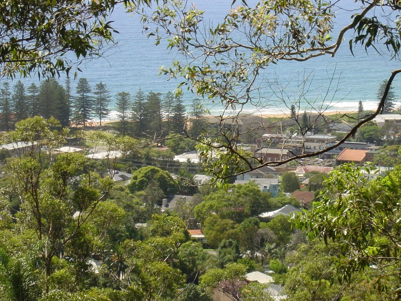 Entertainer With Views Picture 2