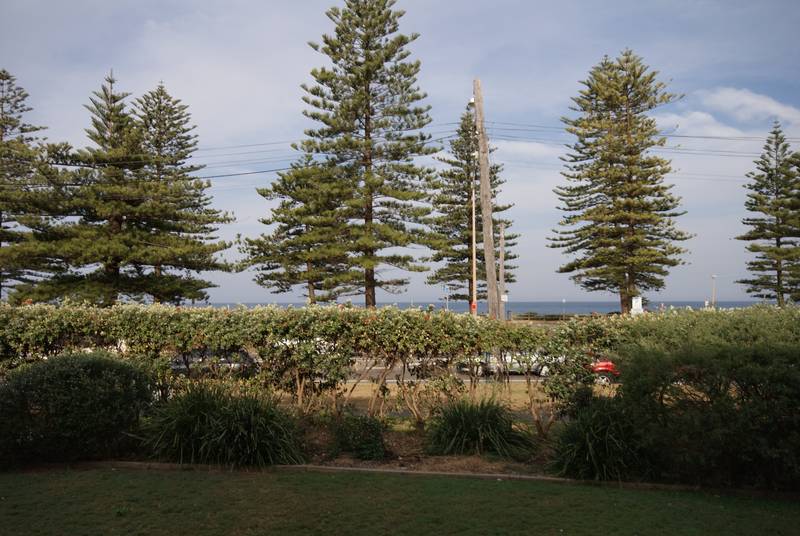 Summer Package Picture 3