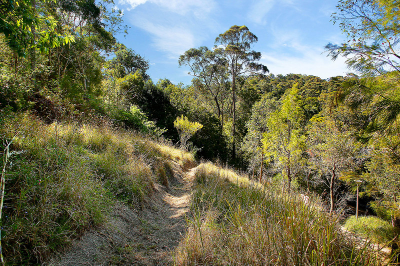 BUILD YOUR DREAM HOME -BARKALA ESTATE 4031sqm LAND Picture 2