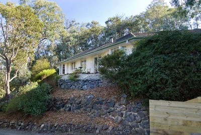 Home Amongst The Gums And Eucalypts Picture