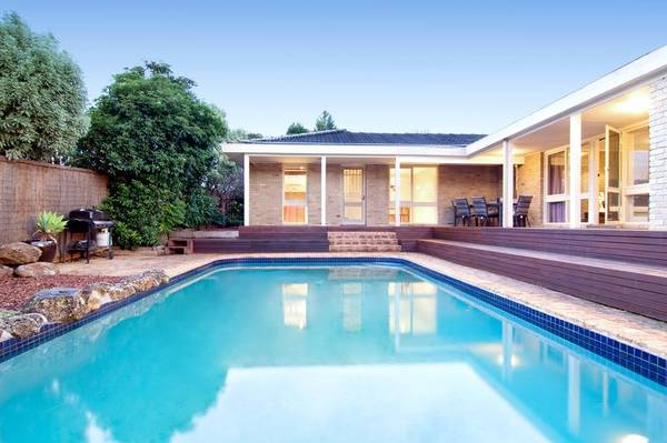 Court Magic! Picture 2