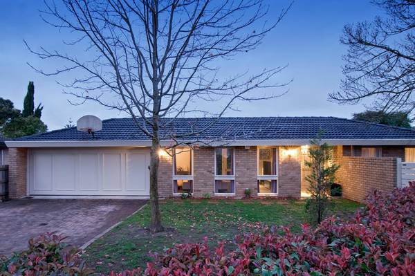 Court Magic! Picture 1