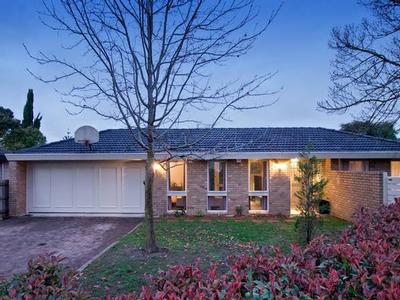 Court Magic! Picture