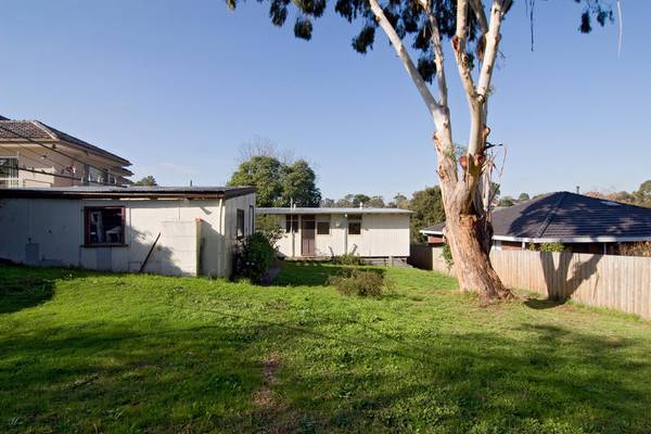 Look at the BIG Picture Picture 3