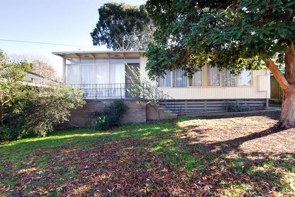 Look at the BIG Picture Picture 2