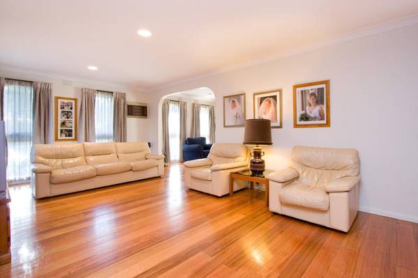 Family Feast of Function AND Fun Picture 3